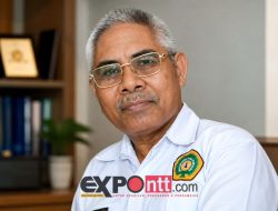 Puskopdit Timor Tolak Lantik Pengurus Kopdit Swasti Sari, Soroti Polemik RAT