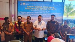 BRIN Bidik Pulau Timor Jadi Pusat Observasi Riset Nasional