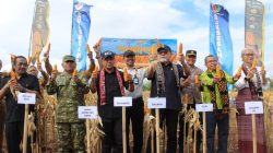 Panen Raya Jagung di Lapas Kupang, Lahan Tandus Disulap Jadi Penggerak Ketahanan Pangan