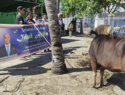 Viktor Laiskodat Serahkan Sapi Kurban untuk Masjid Al-Ikhlas Bonipoi, Tebar Semangat Toleransi di Kota Kupang