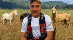 Tokoh Peternak Sumba Timur Serukan Perlawanan terhadap Eksploitasi Ilegal Kuda Sandelwood