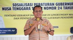 Gubernur NTT, Melki Laka Lena / foto: ist