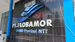 BUMD Provinsi NTT, PT Flobamor Perseroda / foto: Gorby Rumung