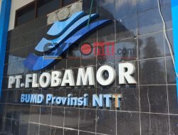 PT Flobamor Prioritas Selesaikan Tunggakan Gaji 37 ABK KM Pulau Sabu dan KM Sirung