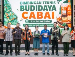 SIGAP Cabai 2026: Sekolah Jadi Ruang Belajar Ketahanan Pangan dan Kemandirian Ekonomi