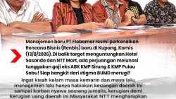 PT.Flobamora Dan Managemen Baru Apakah Akan Sukses Memulihkan Masa Kelam Waktu Lalu Yang Hanya Menghabiskan Uang APBD NTT?