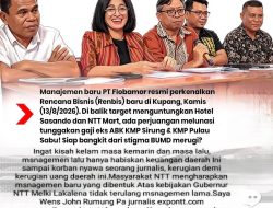 PT.Flobamora Dan Managemen Baru Apakah Akan Sukses Memulihkan Masa Kelam Waktu Lalu Yang Hanya Menghabiskan Uang APBD NTT?