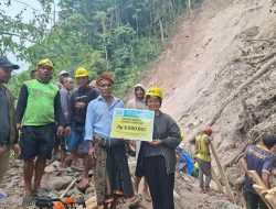 IIK BPJS Ketenagakerjaan Bantu Petani Manggarai, Selamatkan 800 Hektare Sawah Terancam Gagal Panen