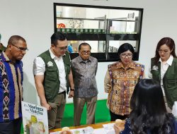 Kunjungi Pabrik La Moringa, Gubernur BI Kagum Kelor NTT Sudah Tembus Pasar Global